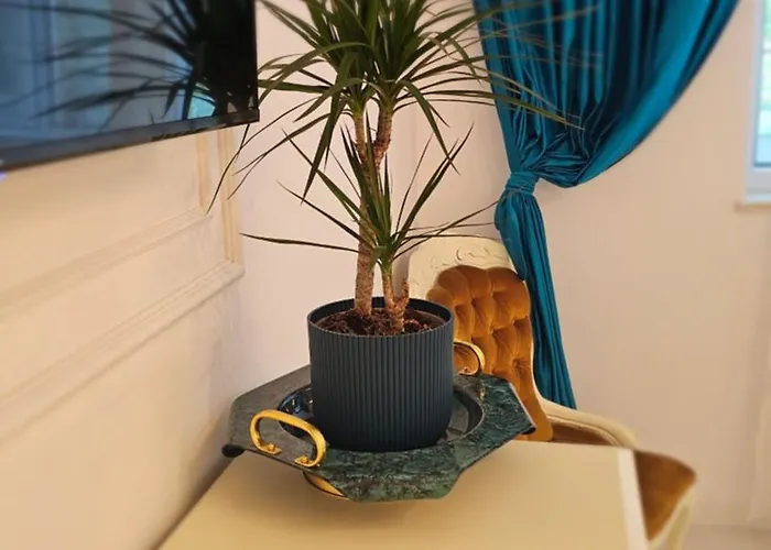 Apartament Phoenix Nest *